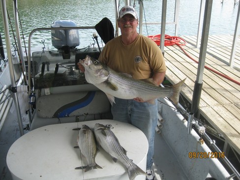 Nice Striped Bass